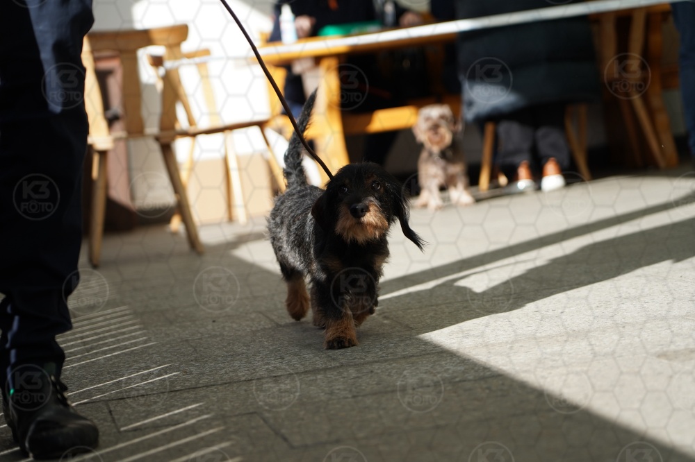 s_A9_09215.jpg